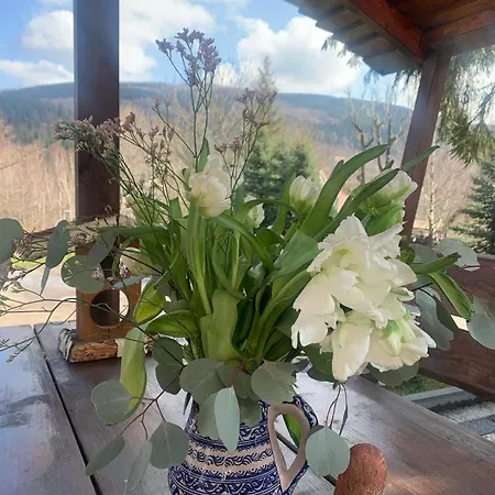 Na Stoku 아파트 Świeradów-Zdrój