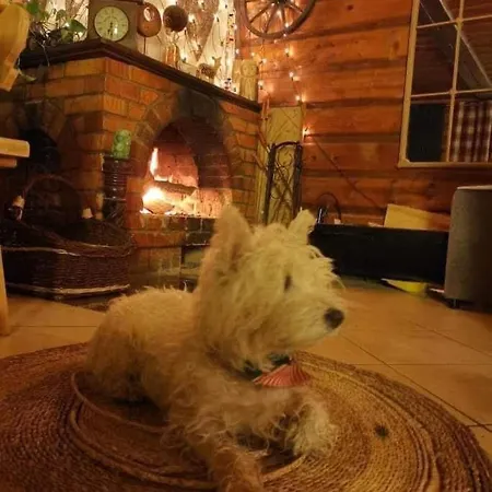 Na Stoku 아파트 Świeradów-Zdrój