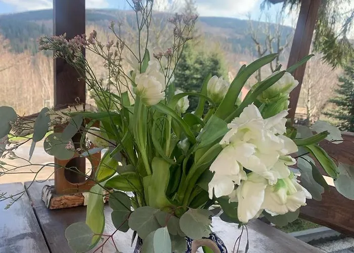 Na Stoku Apartment Świeradów-Zdrój