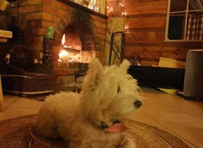 Na Stoku Apartment Świeradów-Zdrój